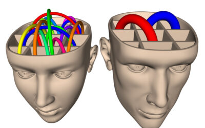 Male-Female Differences in Sexual Psychology and Response