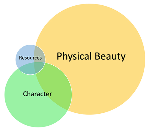 venn diagram: men's long-term mating strategy