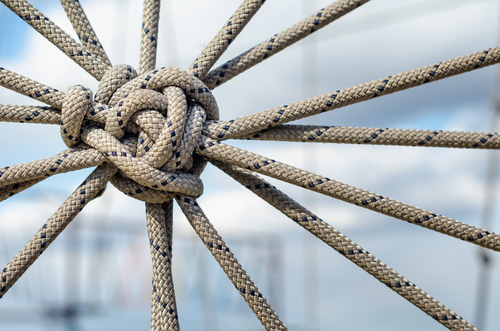 Knotted rope representing our the "many" and "one" of our national motto.